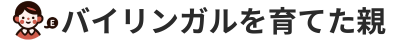 バイリンガルを育てた親